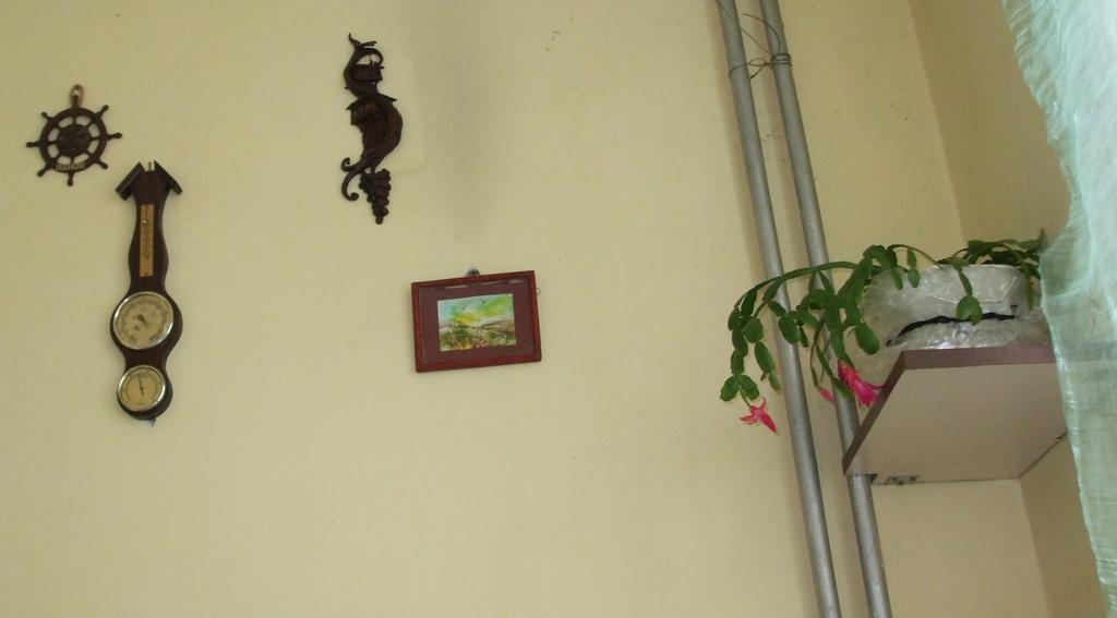 Kamigs Rooms Sofia Rom bilde